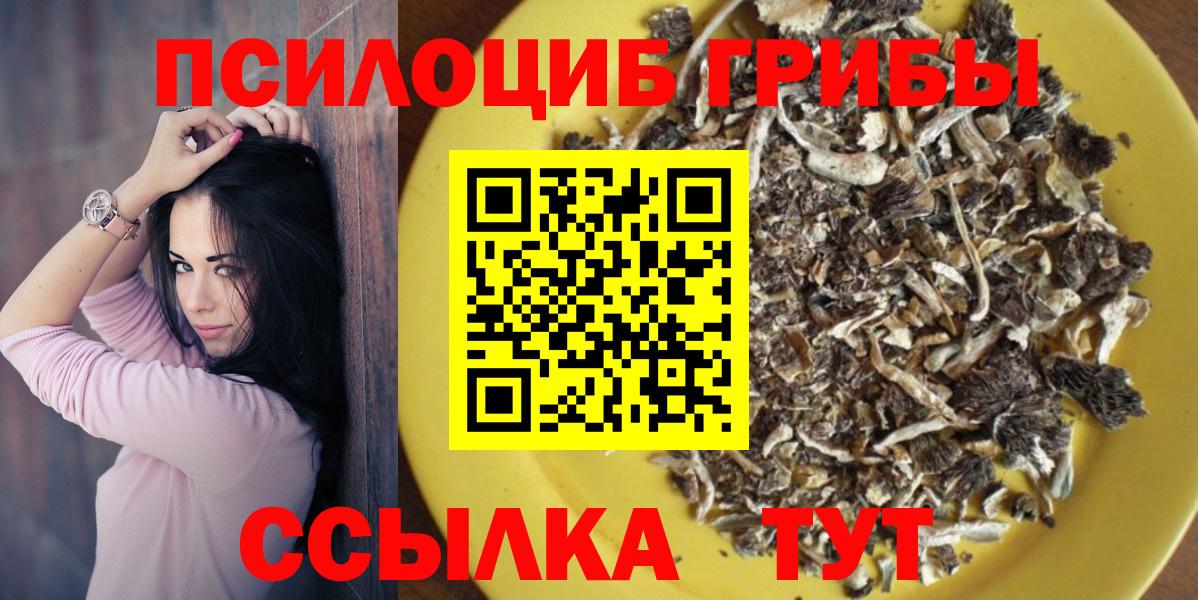 Псилоцибиновые грибы Cubensis Рязань